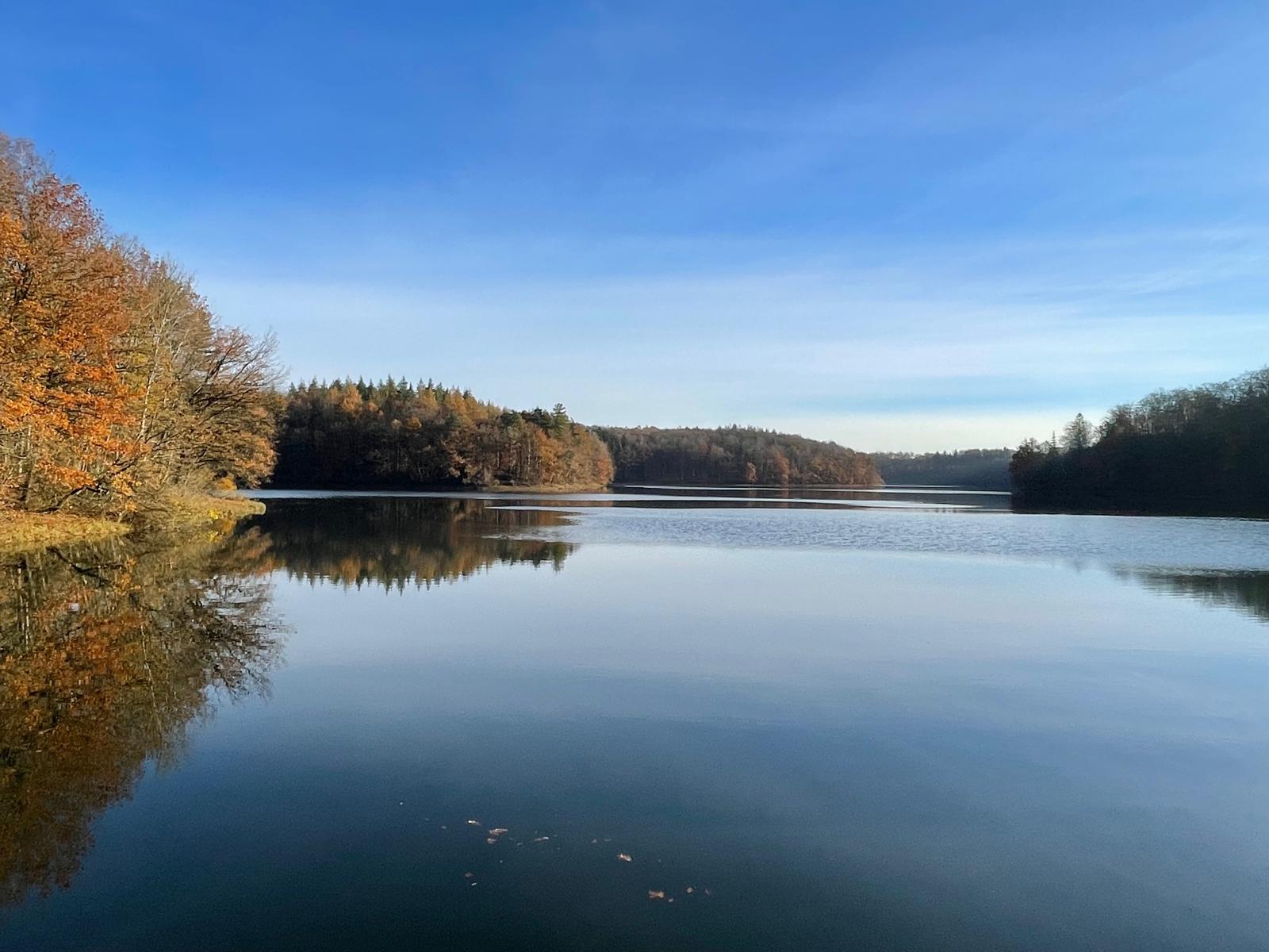 Talsperre unter blauem Himmel, umgeben von herbstlich gefärbtem Wald